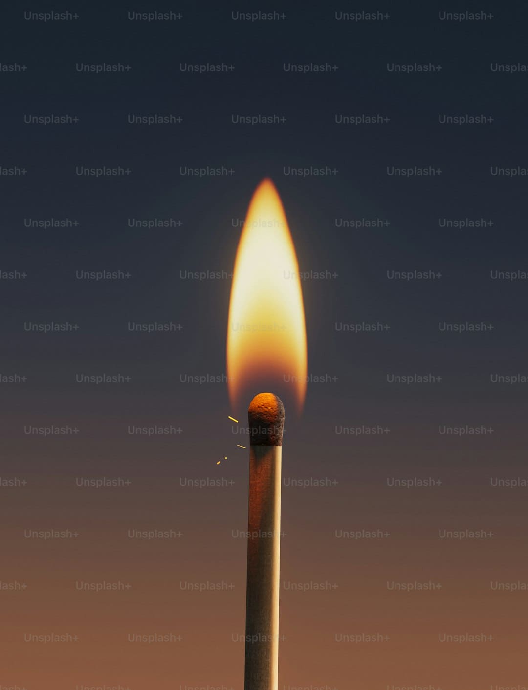 寒王上位：谁在为章盟主做嫁衣裳？
